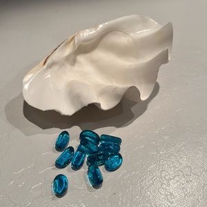 Beautiful Ocean Shell Aprox. 10” across